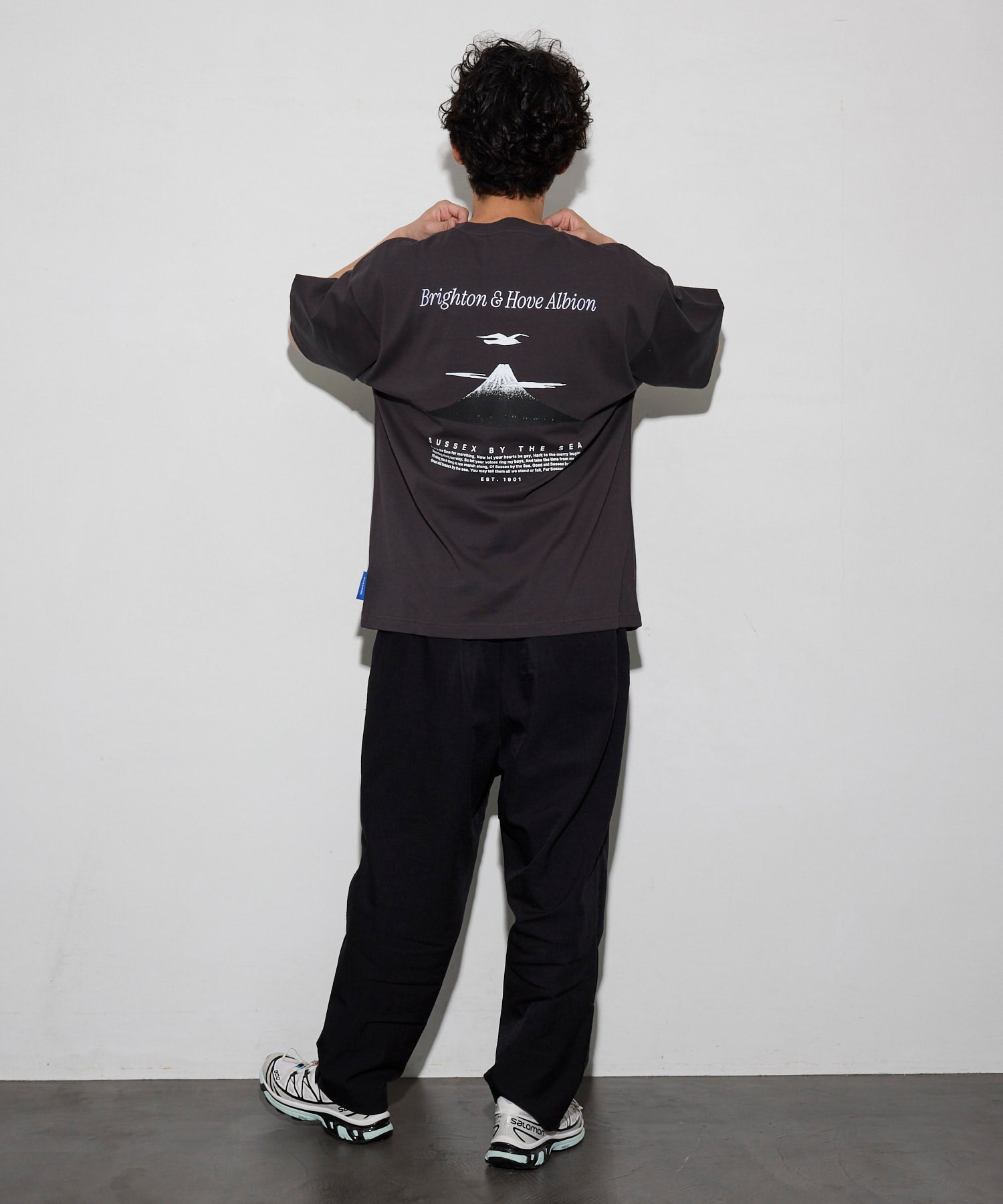 BHA SEAGULLS JAPAN LANDSCAPE TEE
