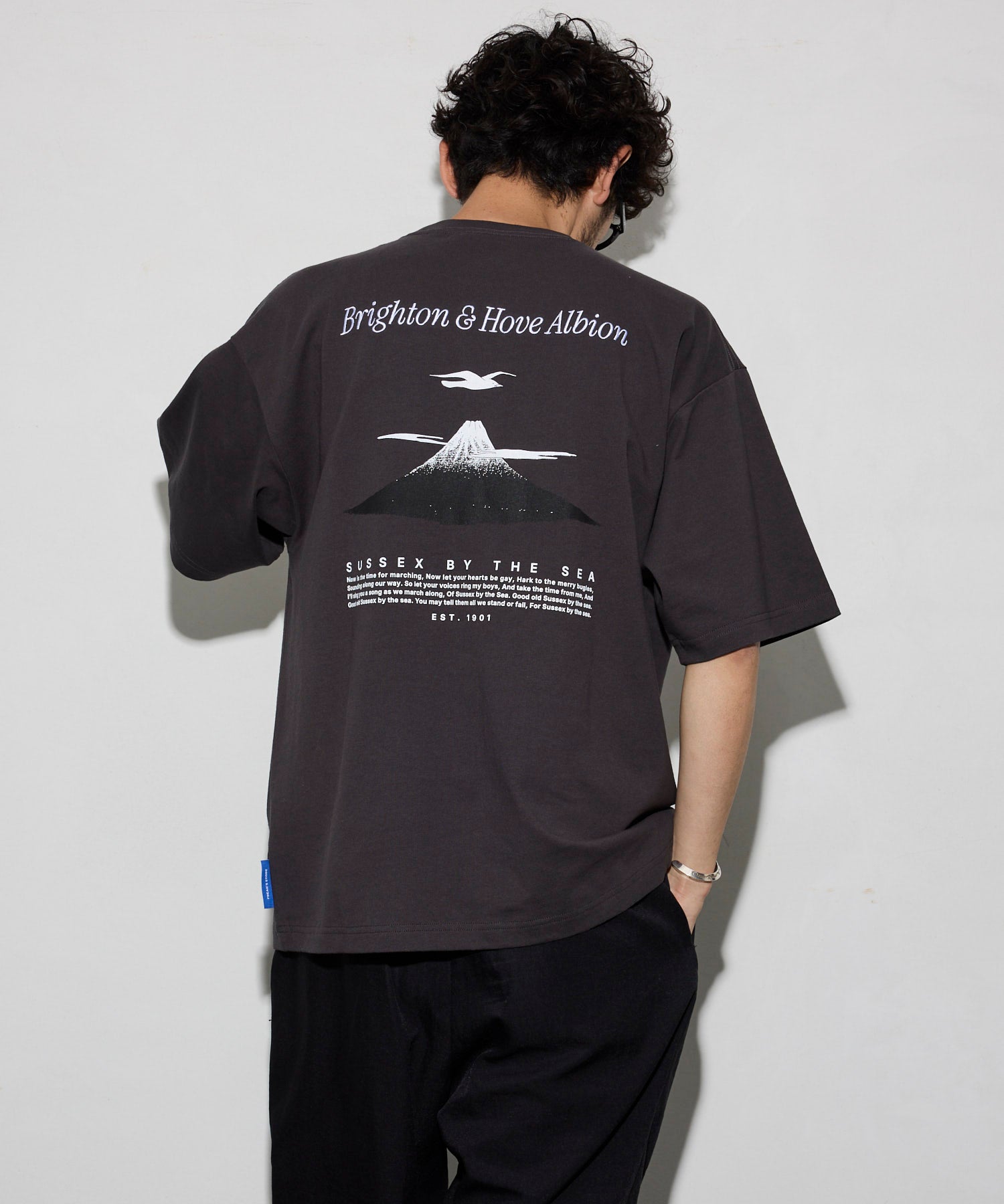 BHA SEAGULLS JAPAN LANDSCAPE TEE