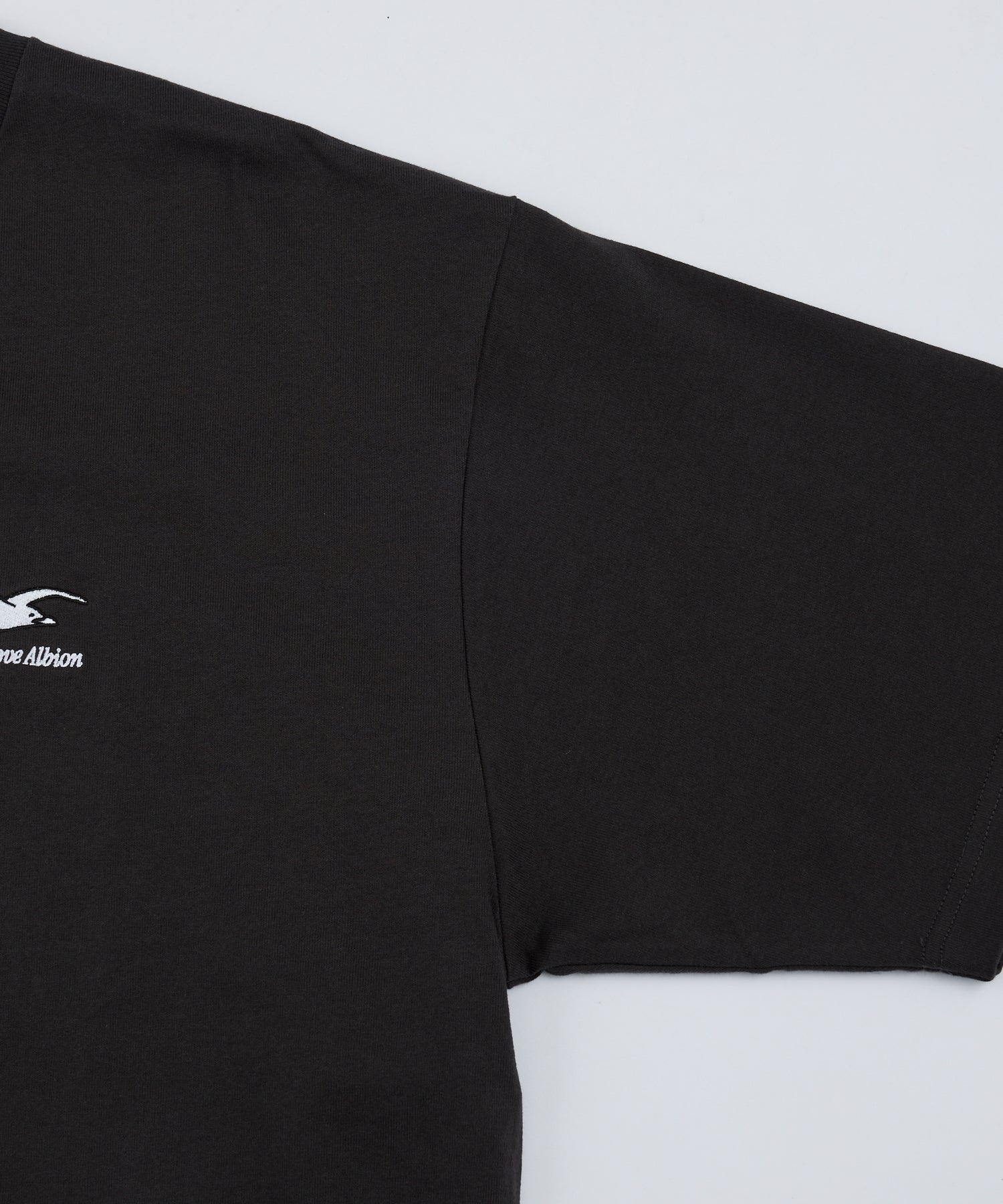 BHA SEAGULLS JAPAN LANDSCAPE TEE