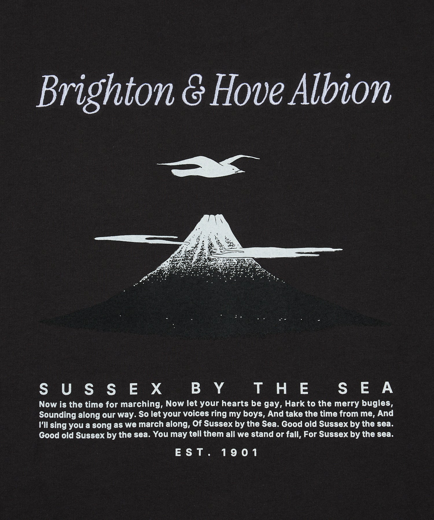 BHA SEAGULLS JAPAN LANDSCAPE TEE