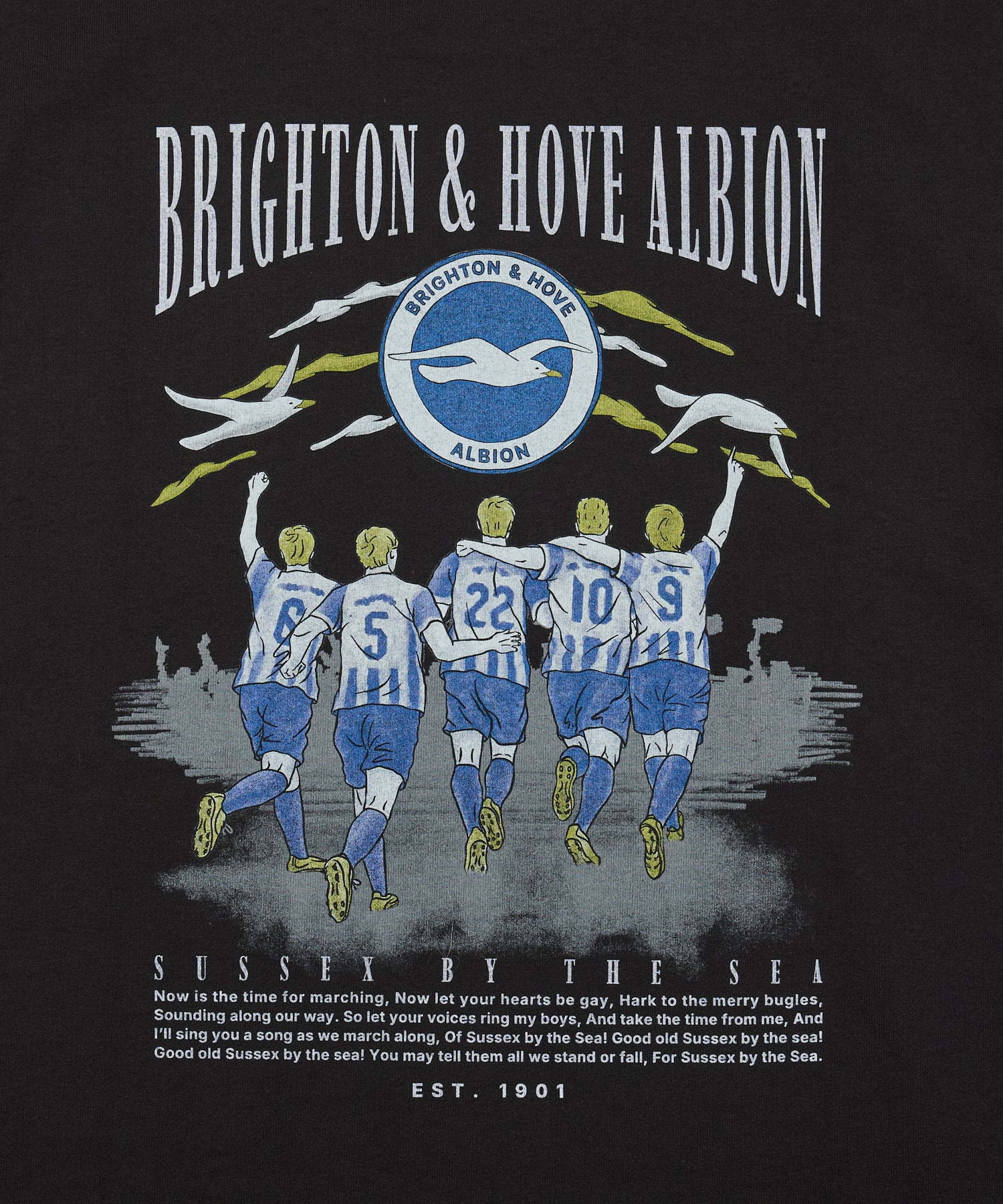 BHA SEAGULLS MATCHDAY GRAPHIC TEE
