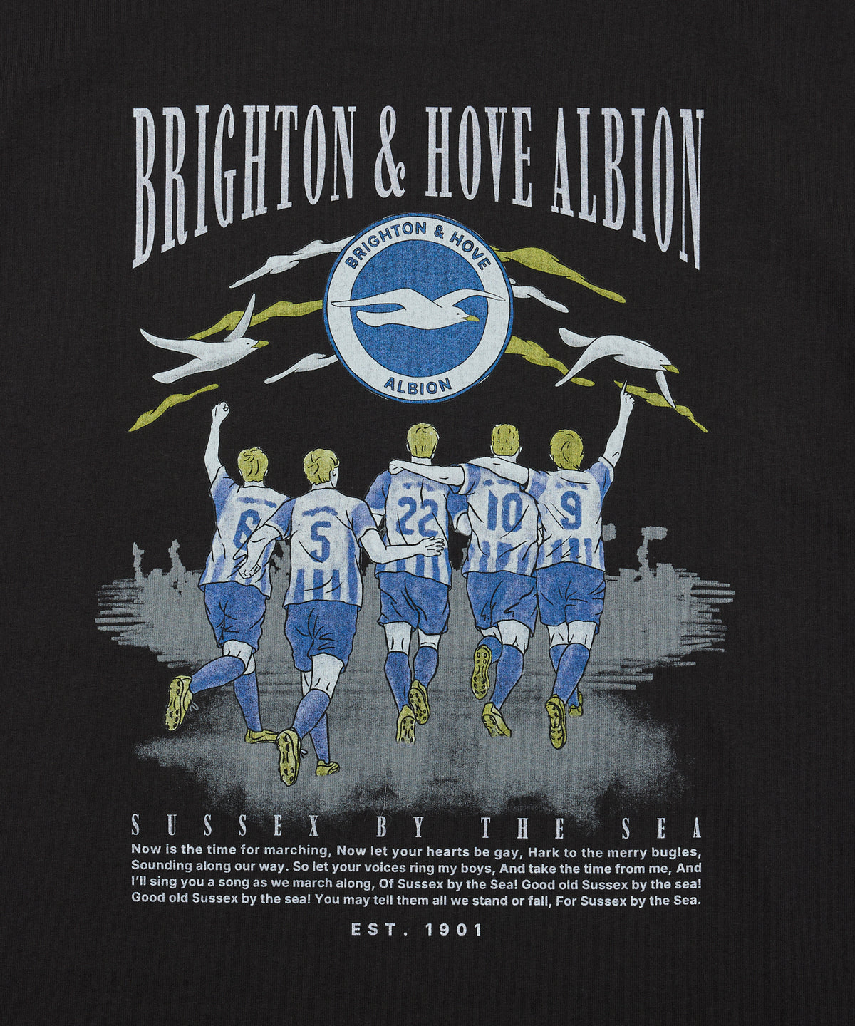 BHA SEAGULLS MATCHDAY GRAPHIC TEE