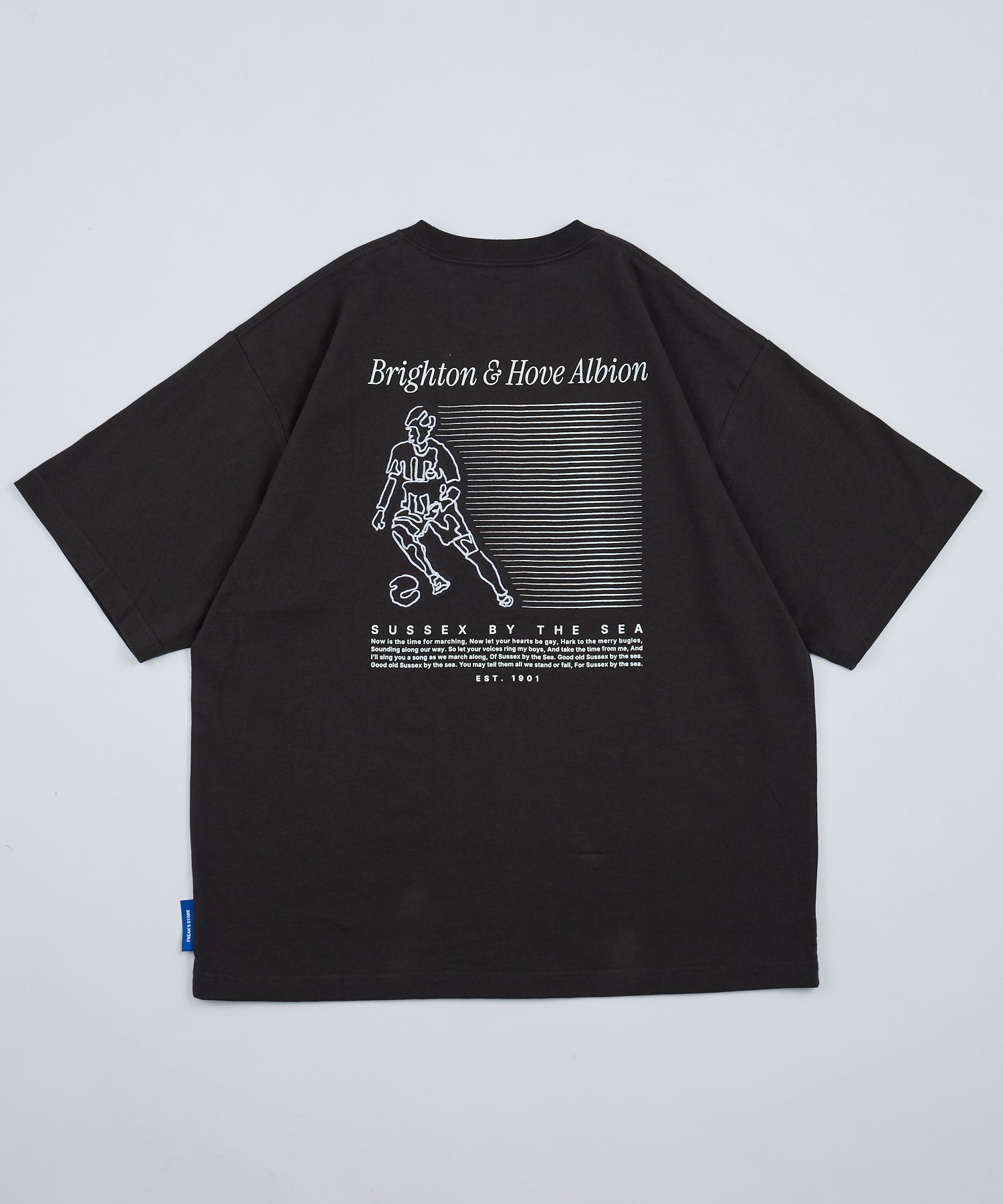 BHA SEAGULLS PLAYER LINE TEE