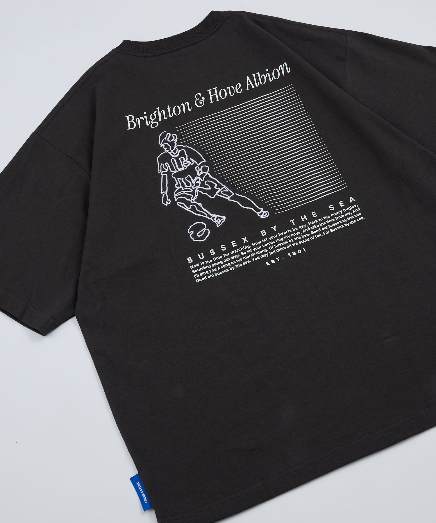 BHA SEAGULLS PLAYER LINE TEE