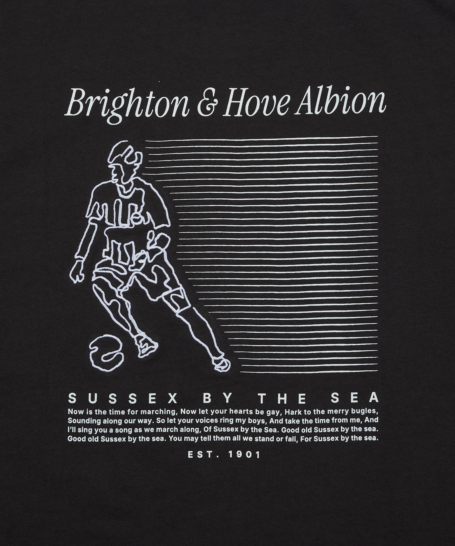 BHA SEAGULLS PLAYER LINE TEE