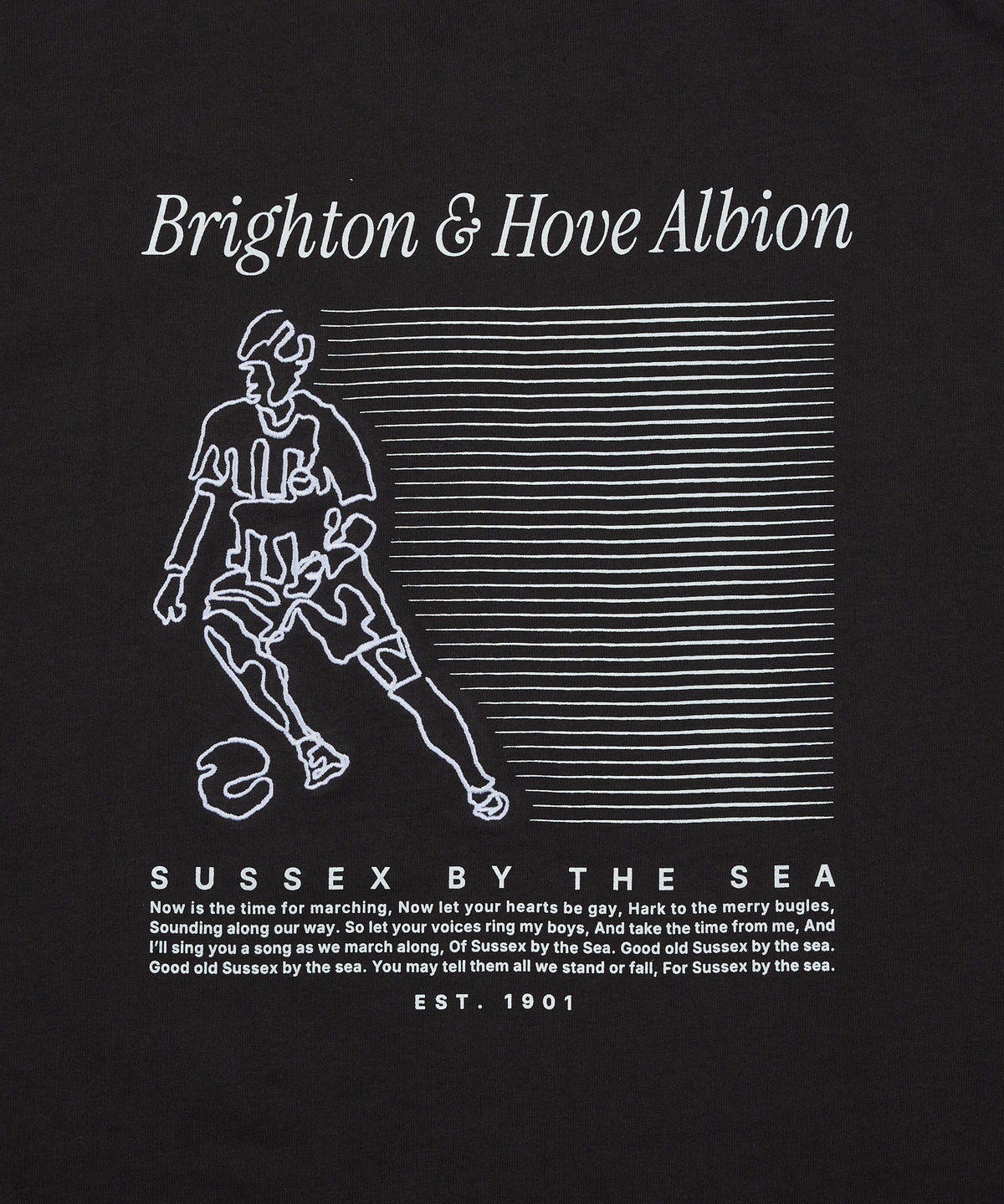 BHA SEAGULLS PLAYER LINE TEE