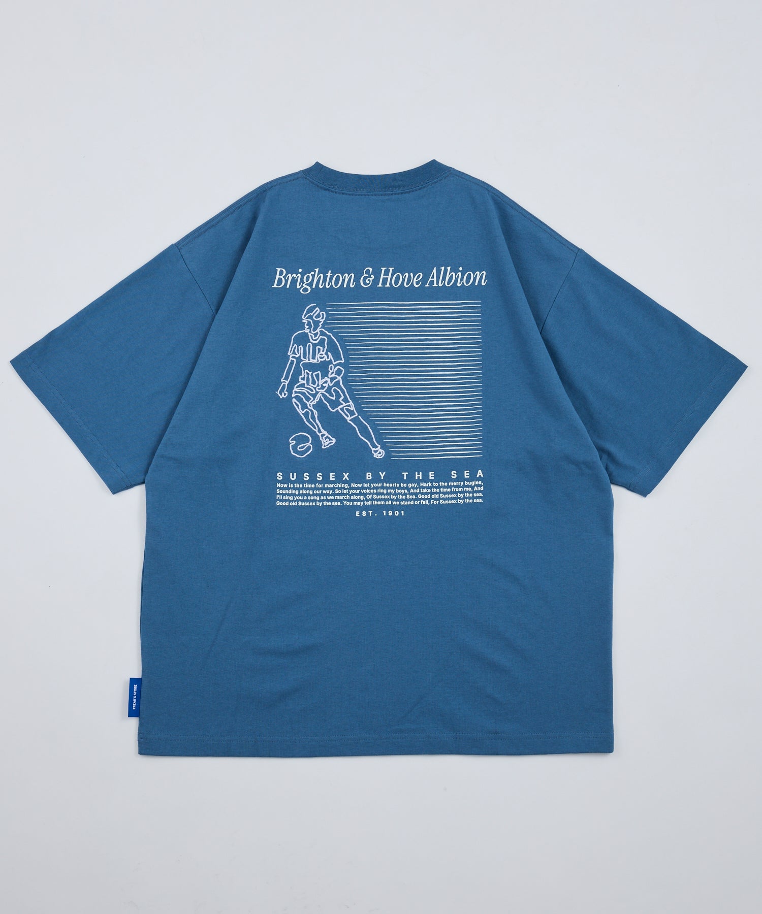BHA SEAGULLS PLAYER LINE TEE