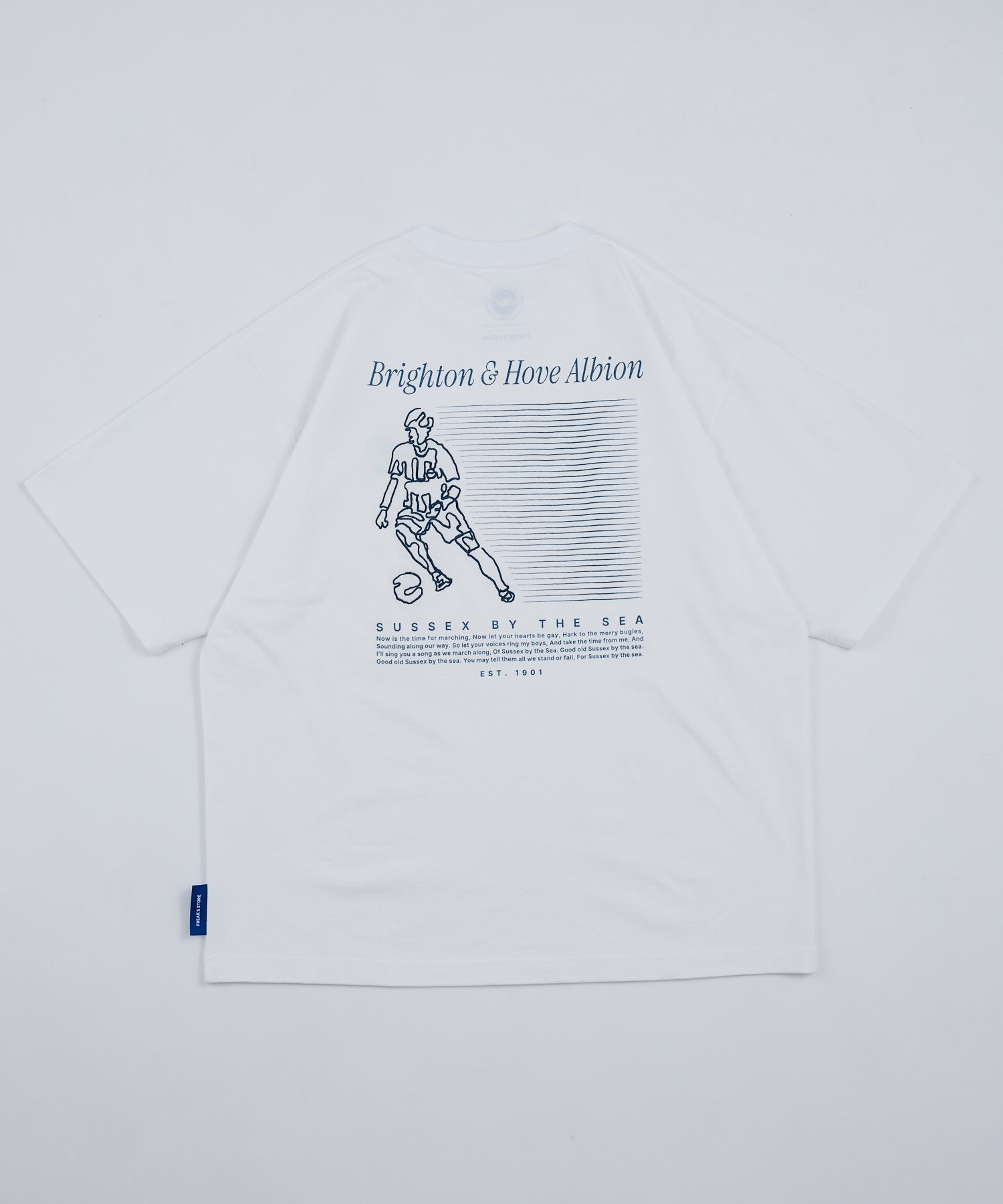 BHA SEAGULLS PLAYER LINE TEE